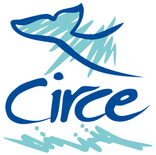 LOGO_CIRCE_POS_transp-e1729150803970