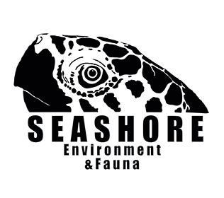 Seashore